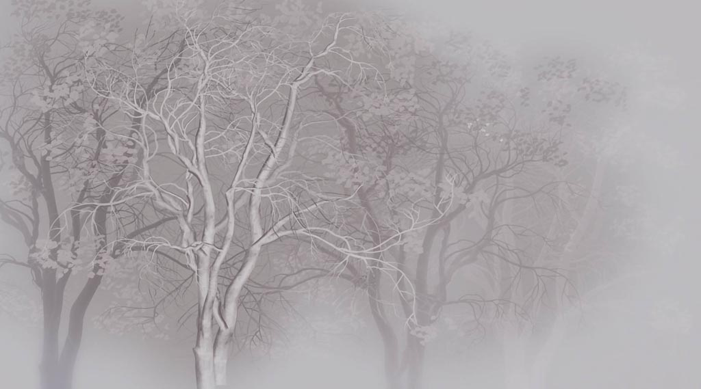 Фотообои Черно-белые деревья в тумане
