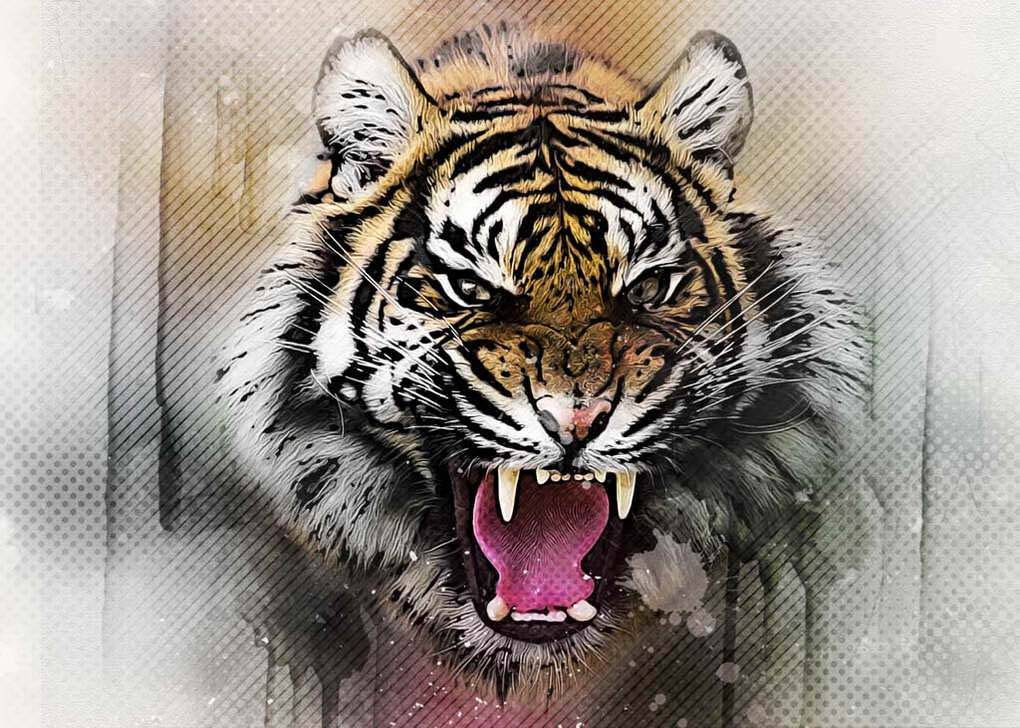 Фотообои Рычащий тигр